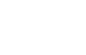 Vibrant Village Foundation logo