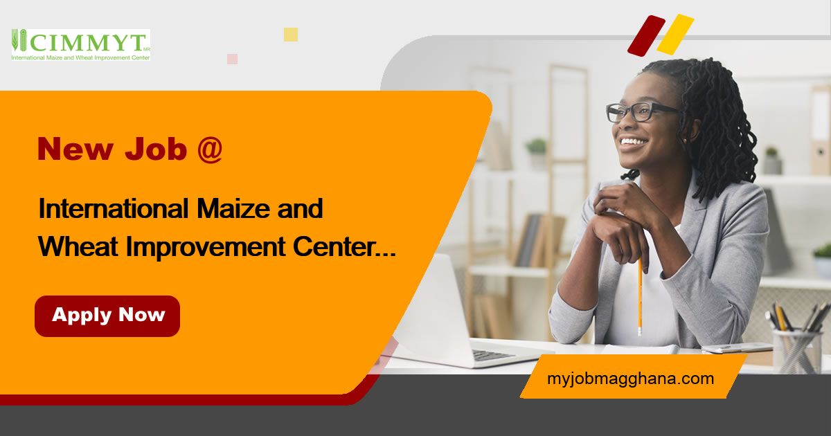 Jobs at International Maize and Wheat Improvement Center (CIMMYT